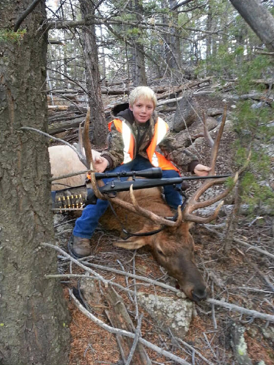 PhotoGallery/elk.jpg